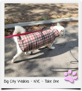 Big City Walkies - NYC - Take One